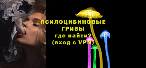 мдпв Михайлов