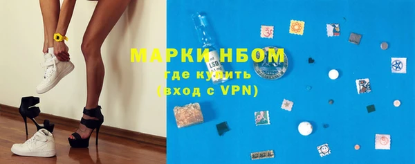 шишки Михайловск