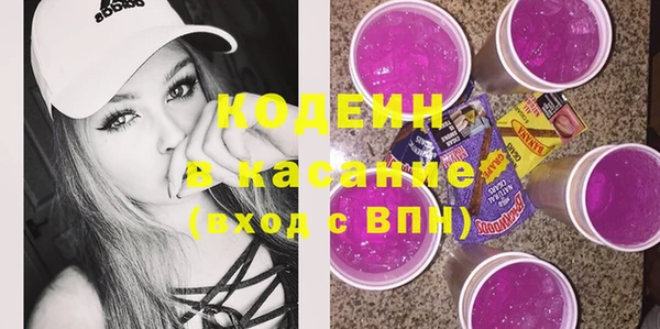 шишки Михайловск