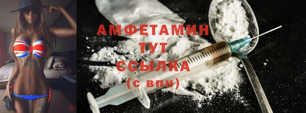шишки Михайловск