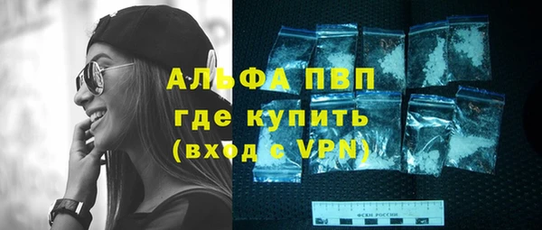 шишки Михайловск